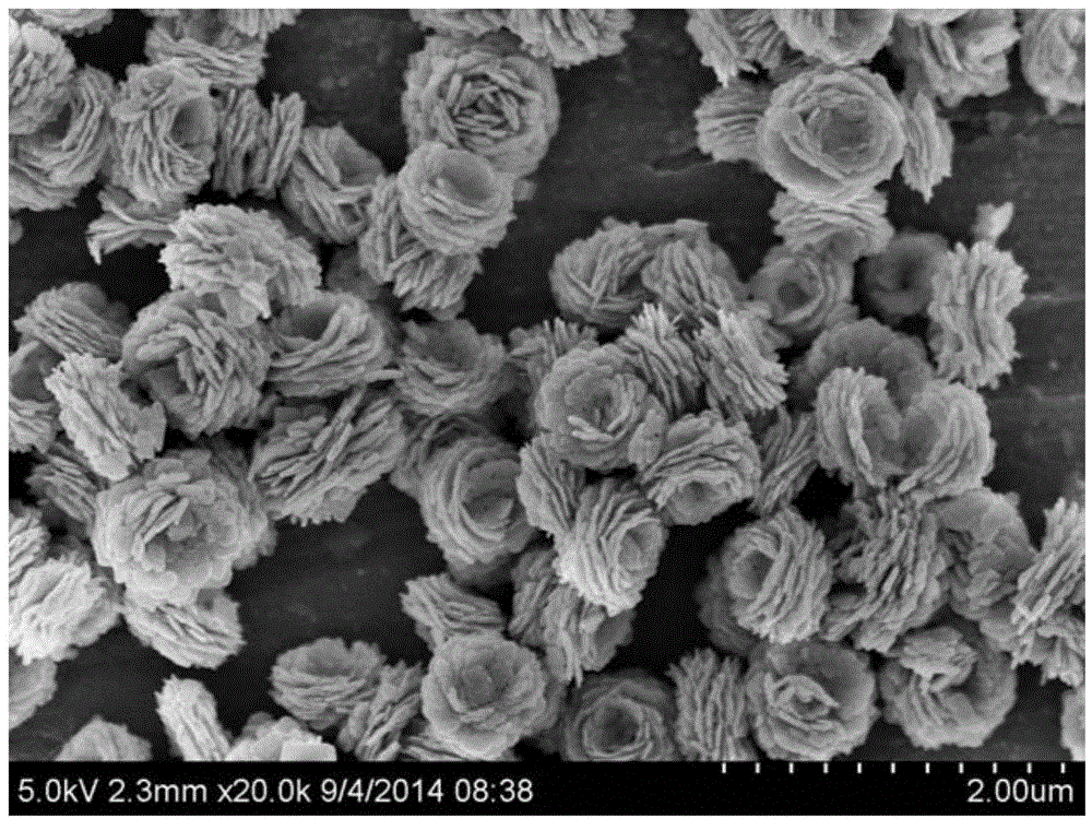 Lattice defect-containing difunctional bismuth subcarbonate catalyst and preparation method thereof