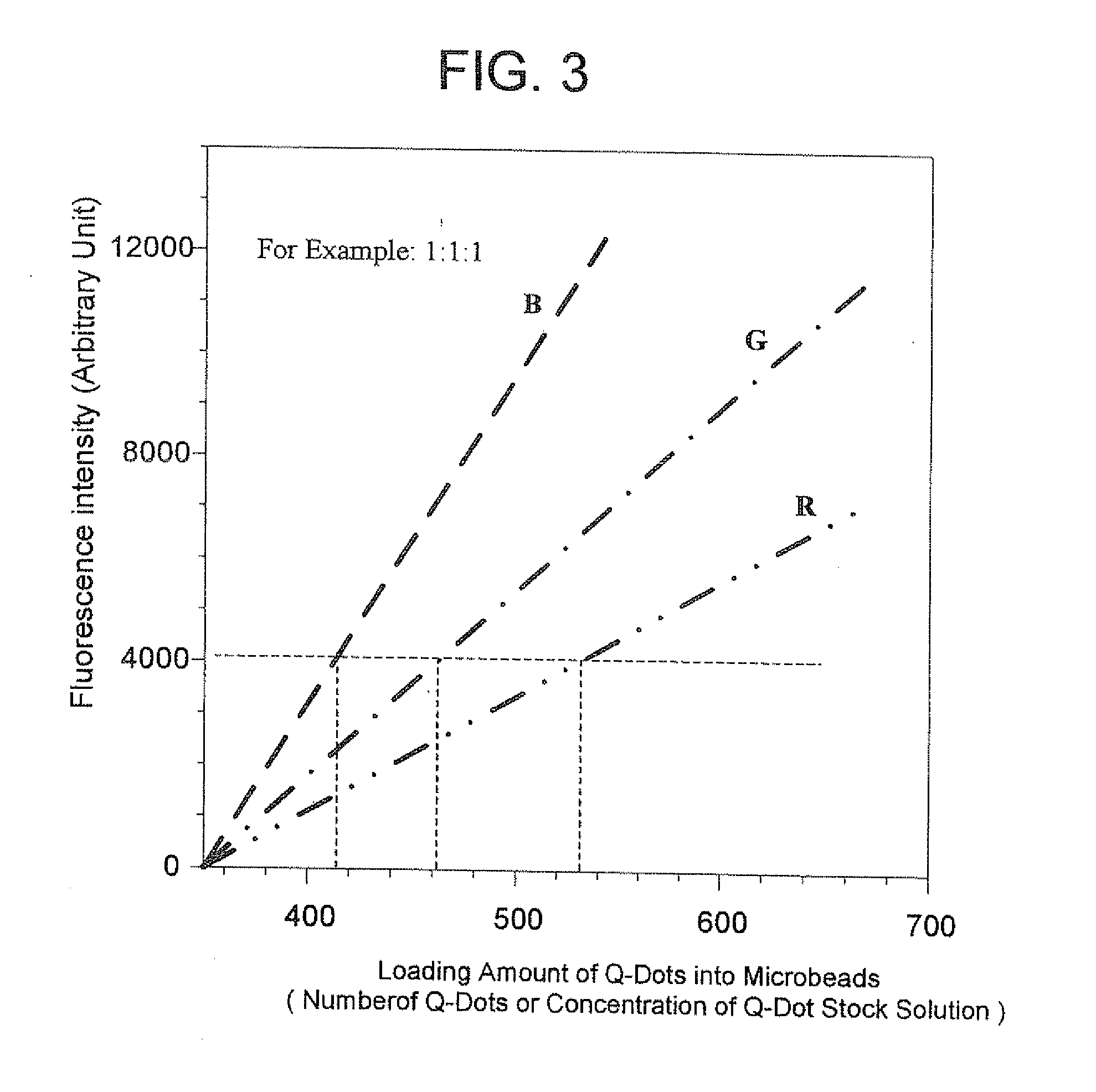 Methods of Preparing Multicolor Quantum Dot Tagged Beads and Conjugates Thereof