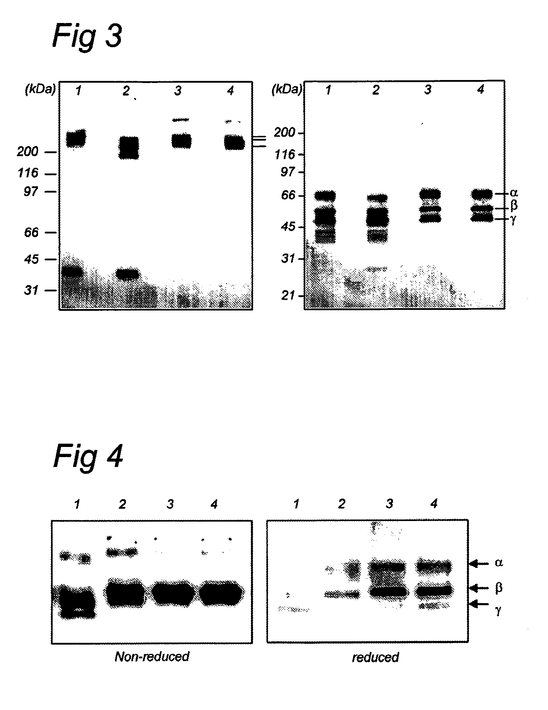 Treatment of bleeding with low half-life fibrinogen