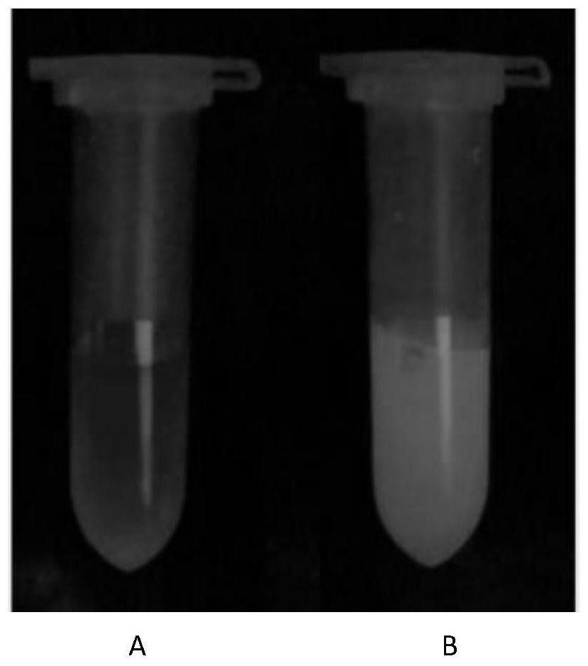 Method for detecting organophosphorus pesticide by utilizing MOFs@QDs material in farmland environment