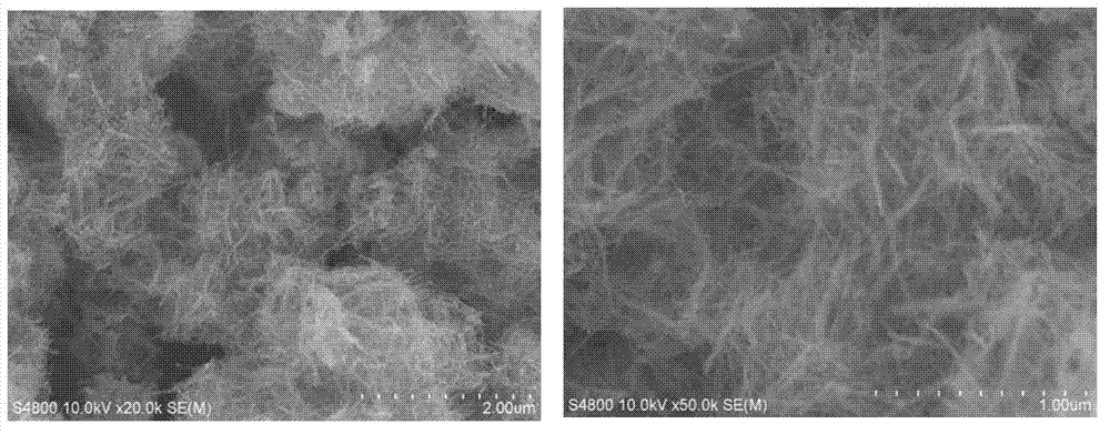 Preparation method of FeWO4 nanowire