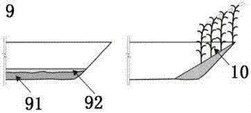 River channel in-situ purification and ecological remediation method