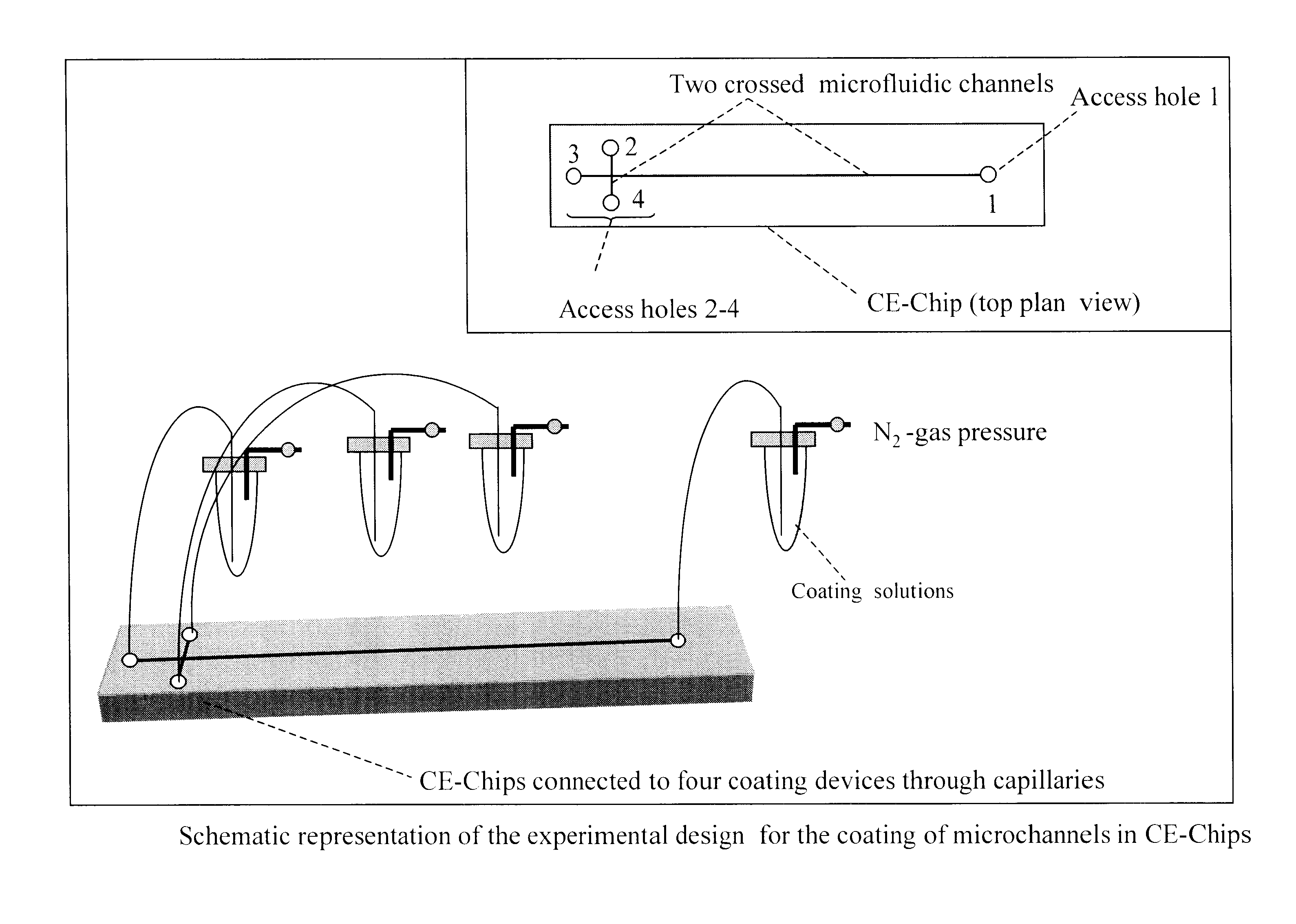 Coatings with cross-linked hydrophilic polymers