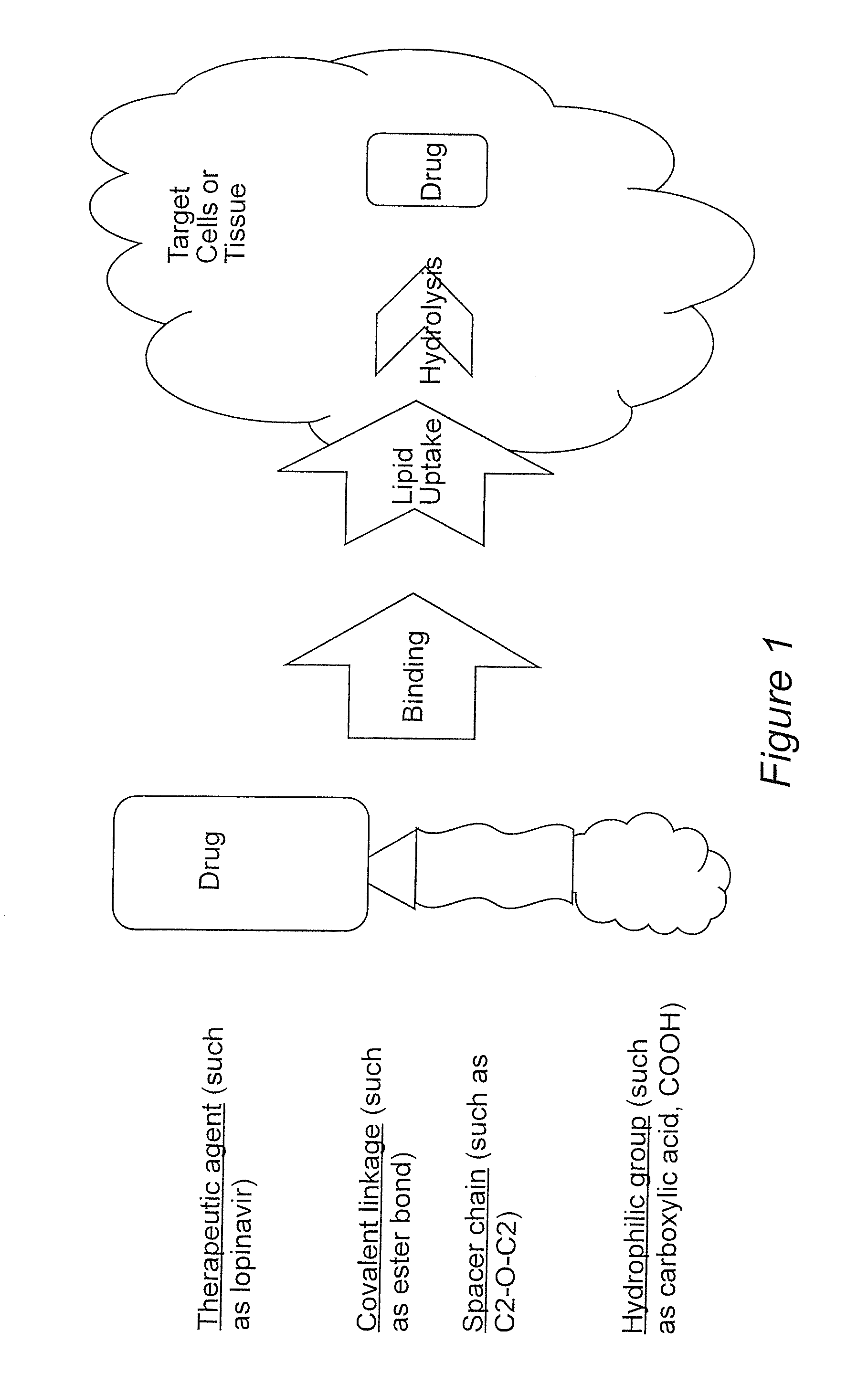 Prodrugs utilizing a transporter-directed uptake mechanism