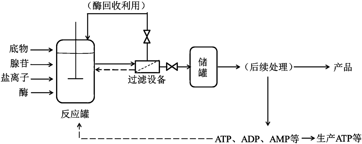 Production method for enzymatic reaction by utilizing adenosine to replace ATP