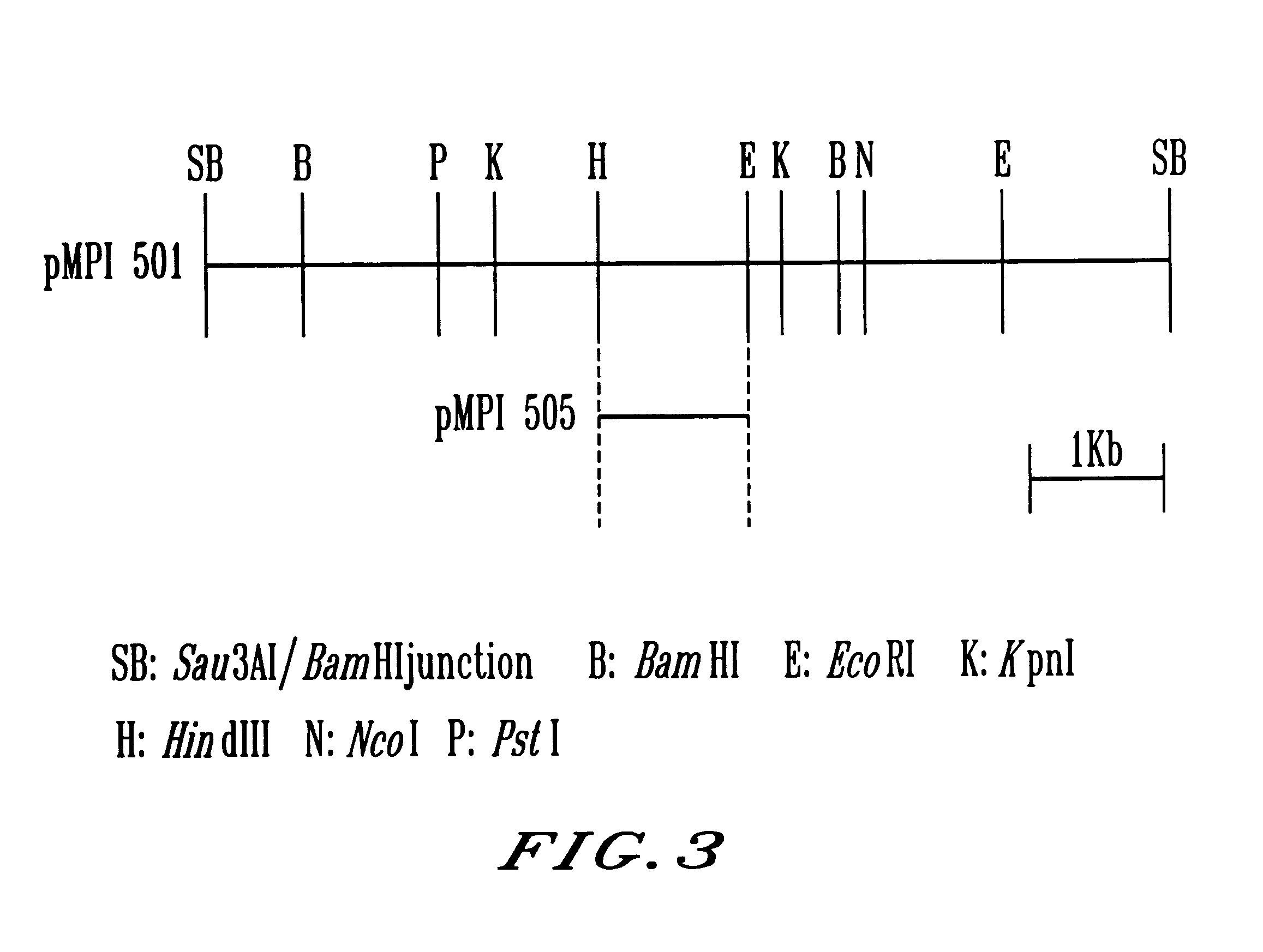 Method for producing nucleoside-5'-phosphate ester