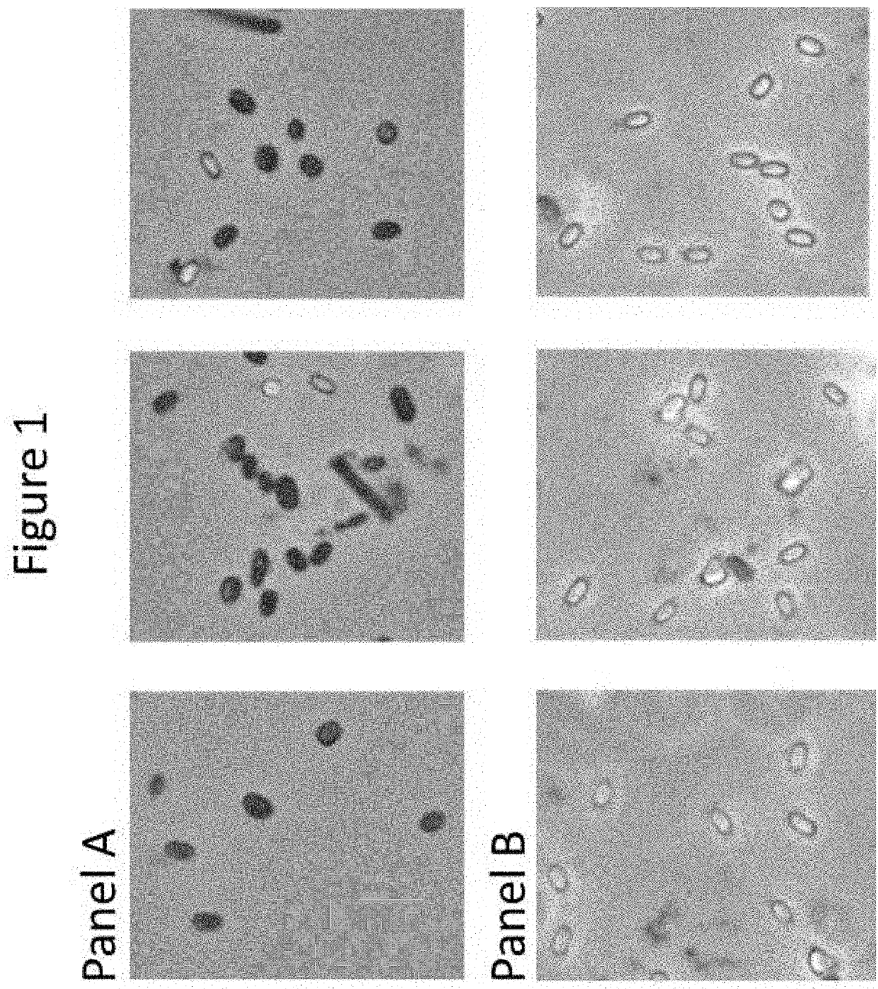 System and Method for Using a Single-Serve Nutrient Spore Composition for Small Scale Farm Applications