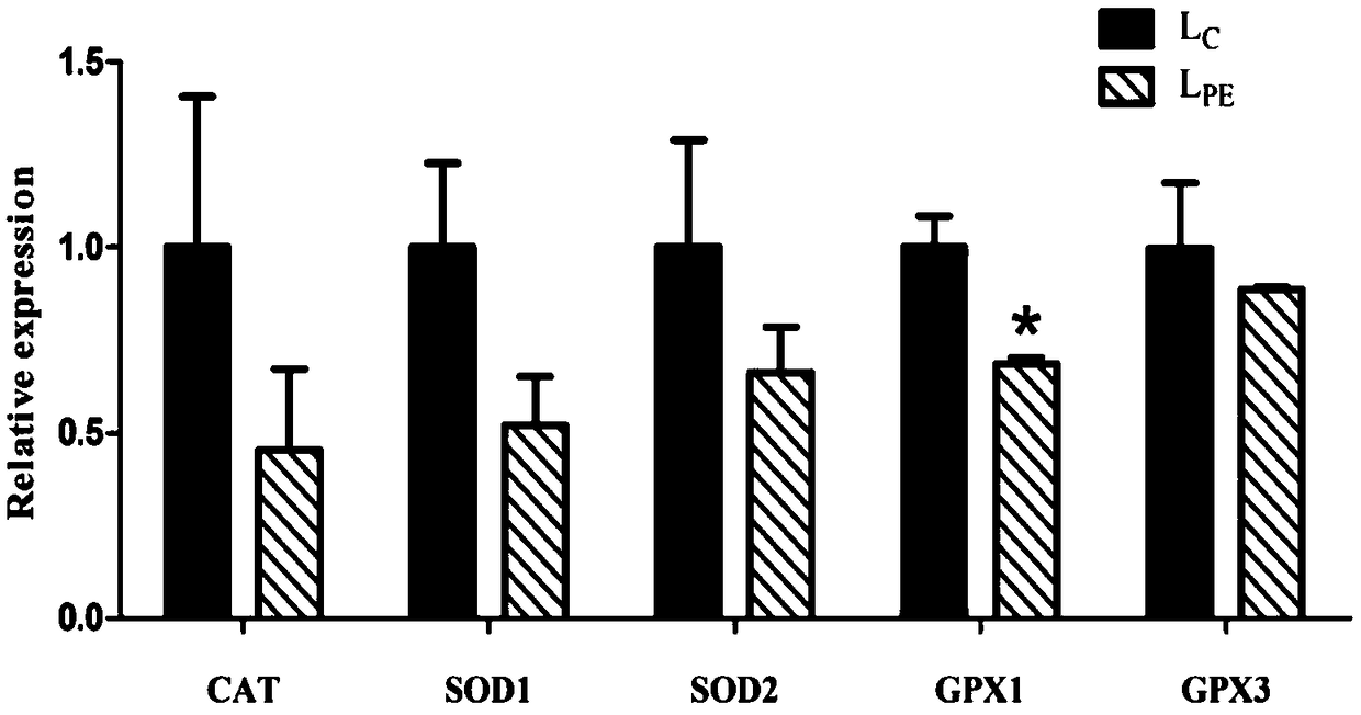 Product for adding nicotinamide/or nicotinic acid to perinatal milk goats to enhance antioxidant and immune function of lambs and use method and application thereof