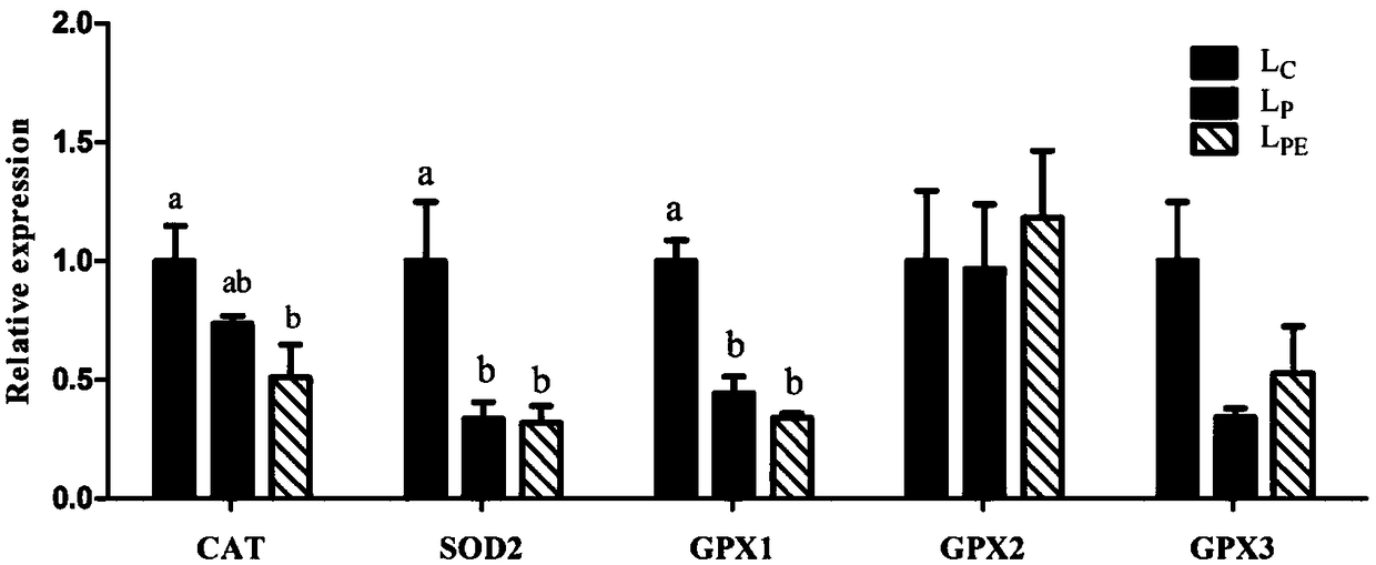 Product for adding nicotinamide/or nicotinic acid to perinatal milk goats to enhance antioxidant and immune function of lambs and use method and application thereof