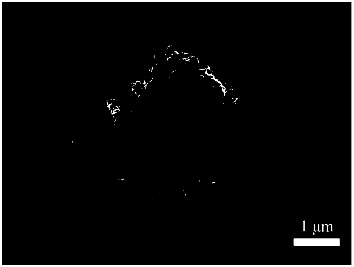 A double-carbon structure modified silicon-carbon composite negative electrode material and a preparation method thereof