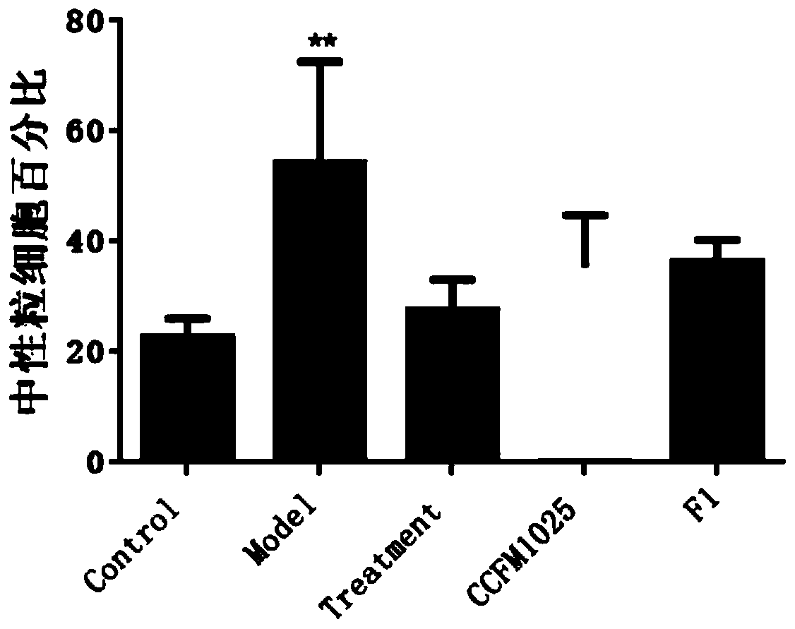 A strain of Lactobacillus mucosae with anti-influenza ability and its application