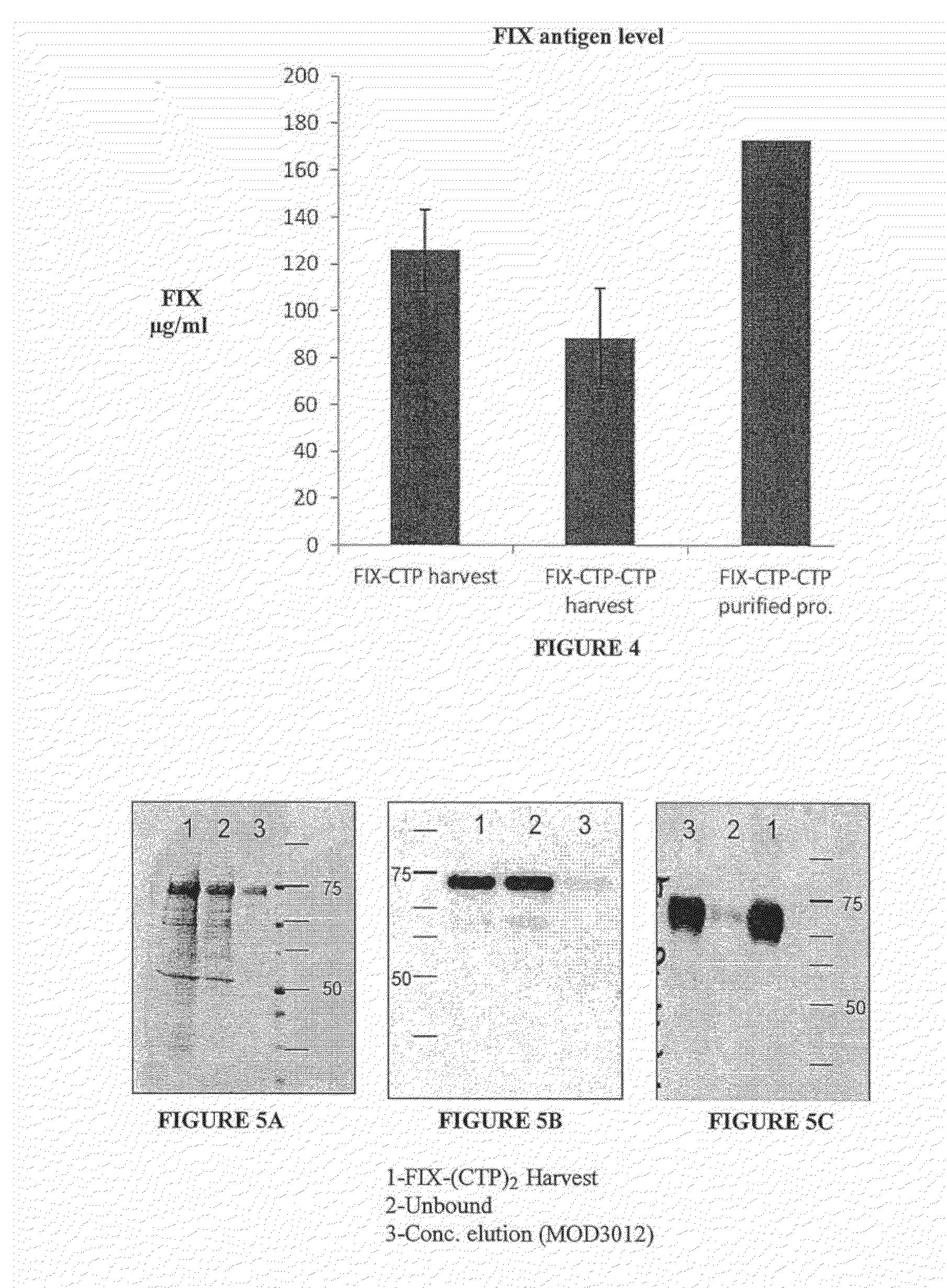 Long-acting coagulation factors and methods of producing same