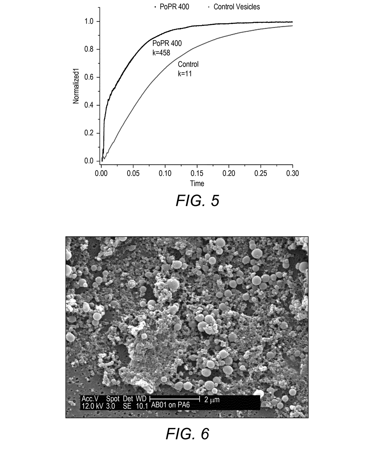 Vesicles formed from block copolymers, and novel block copolymers