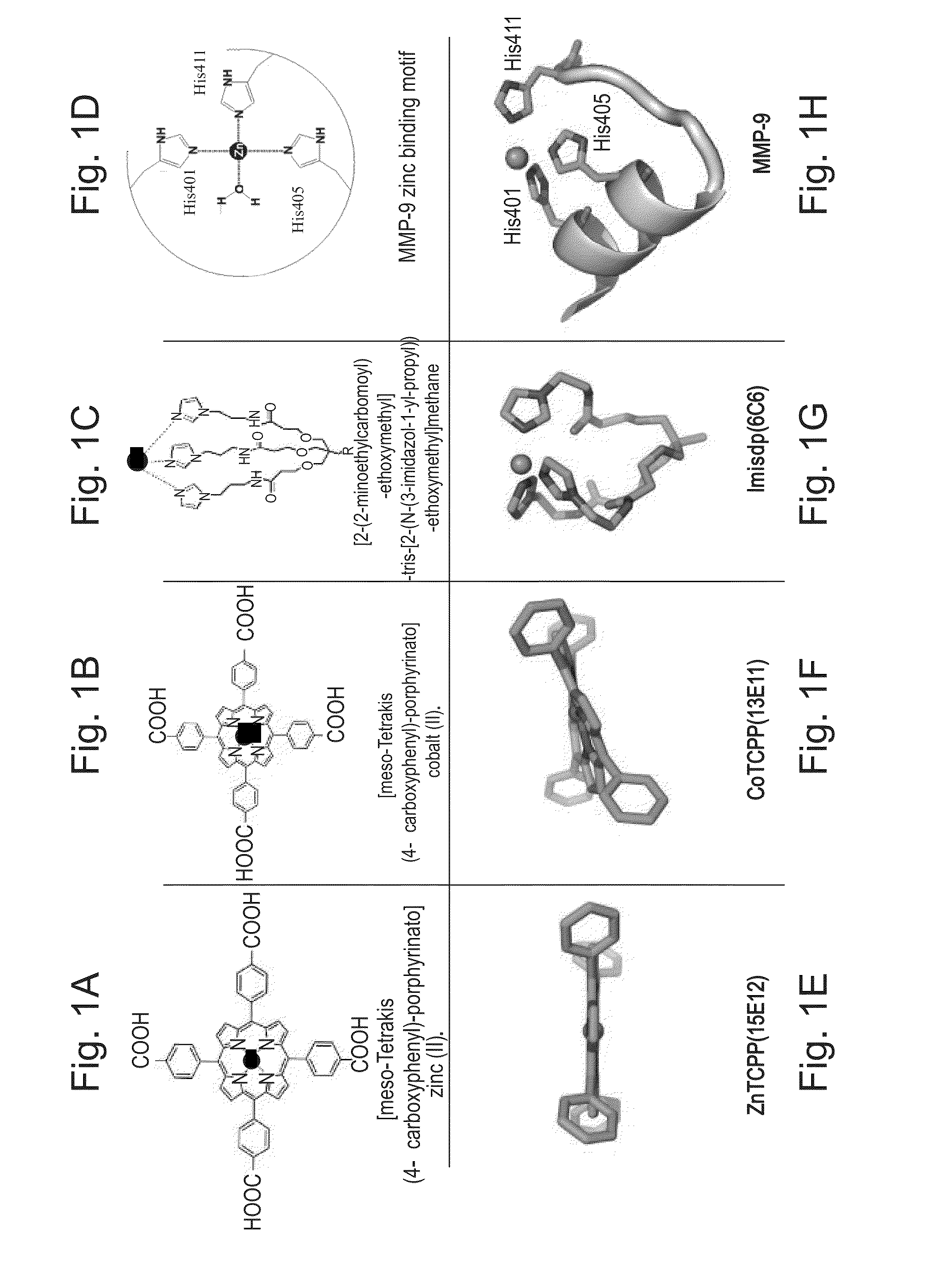 Antibodies and pharmaceutical compositions containing same useful for inhibiting activity of metalloproteins