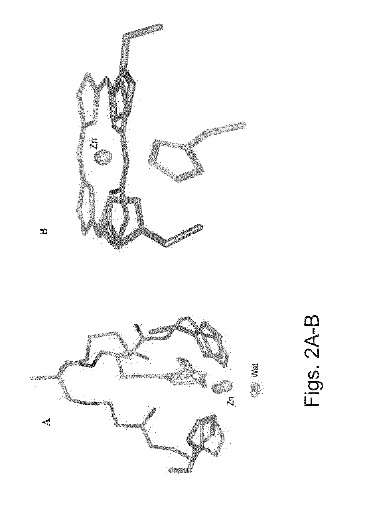 Antibodies and pharmaceutical compositions containing same useful for inhibiting activity of metalloproteins