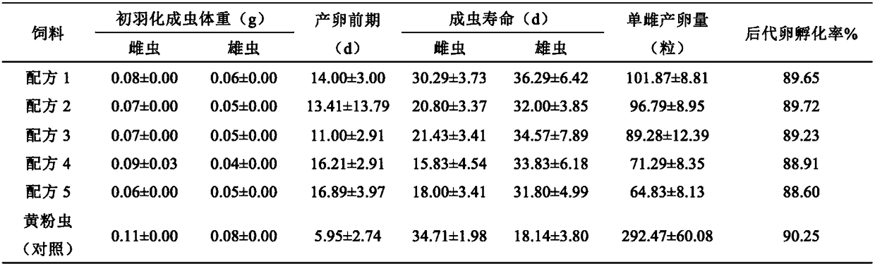 Artificial feed formula for cantheconidae furcellata