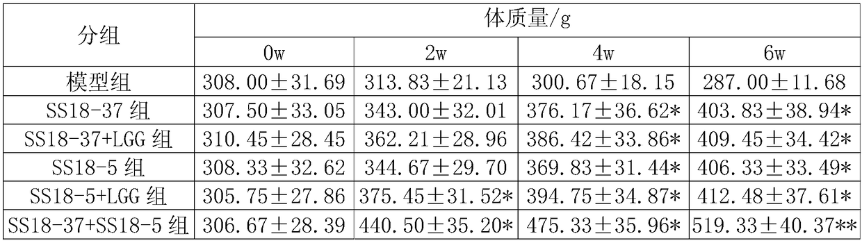 Compound lactobacillus plantarum preparation with blood sugar reducing function and application of preparation