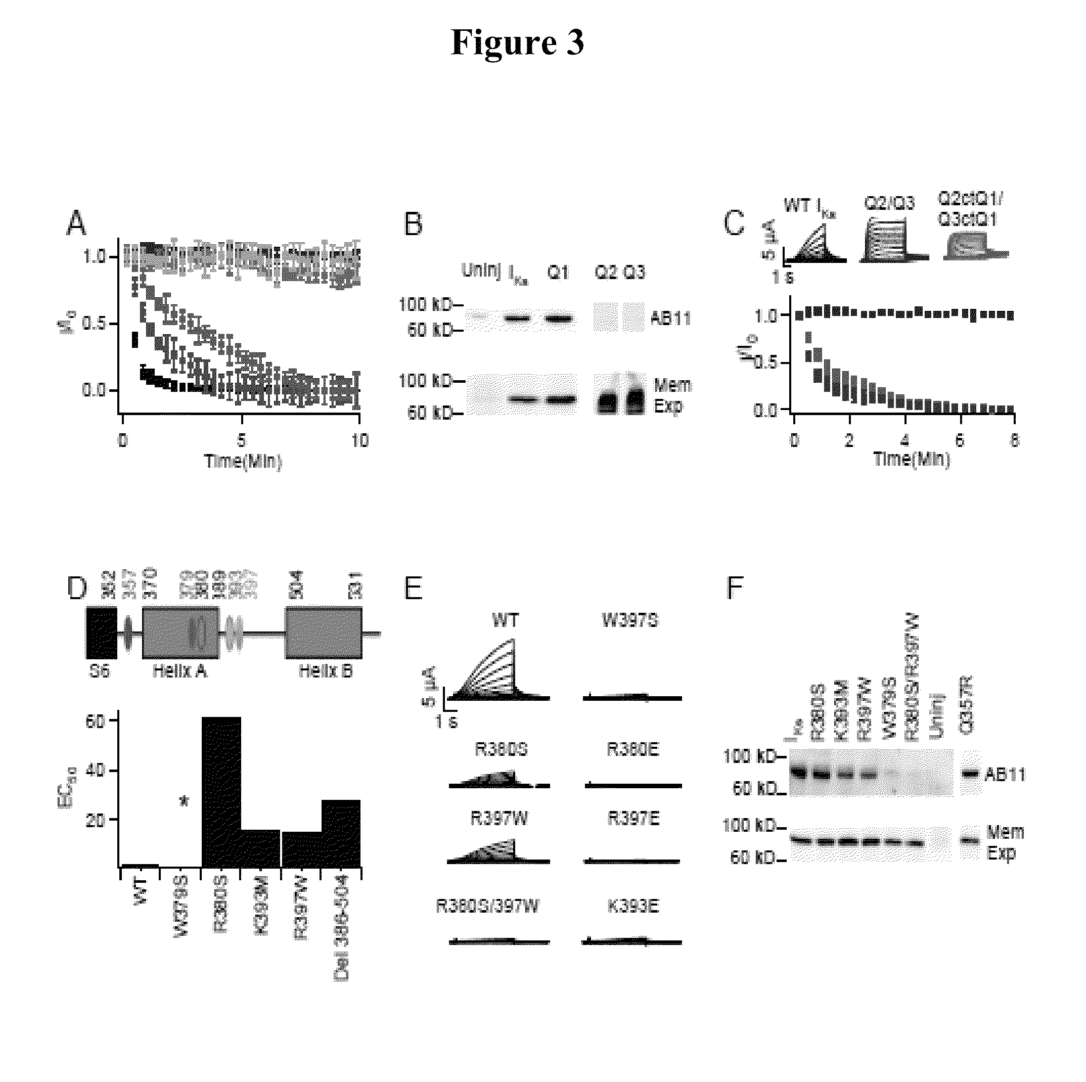 KCNQ channels as therapeutic targets