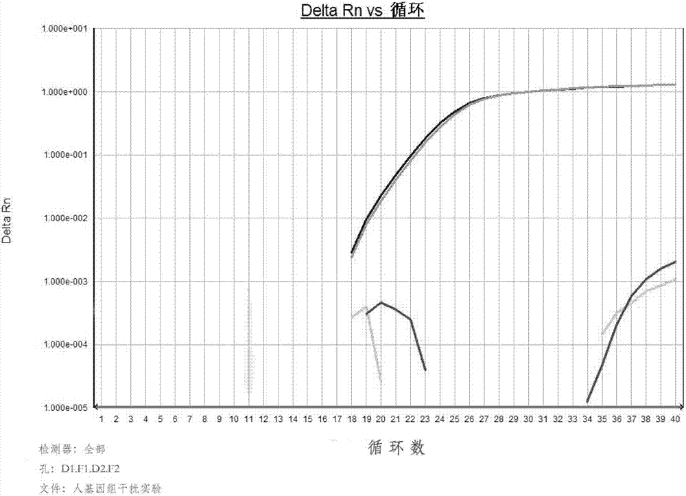 Method for detecting CHO cell DNA