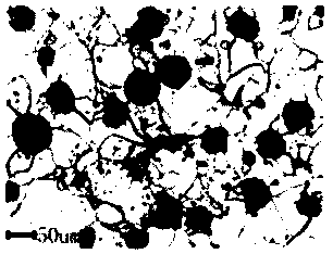 Casting burning-on device and method