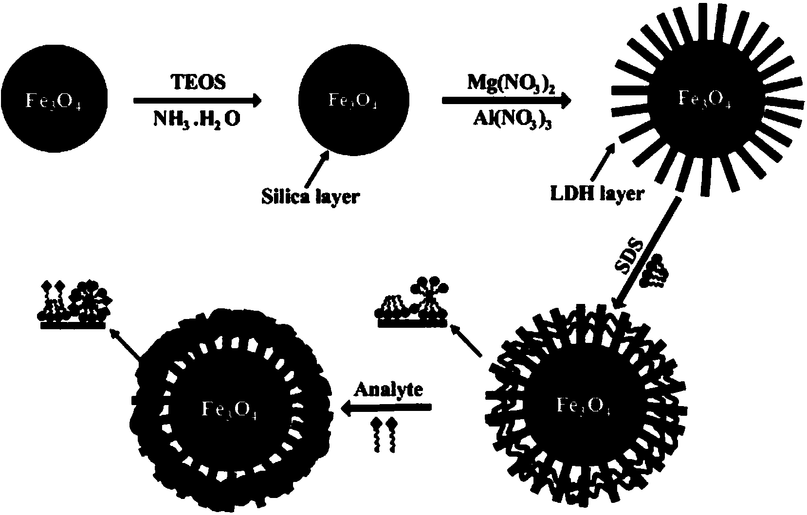 Magnetic nano material solid phase extracting agent as well as preparation method and application thereof