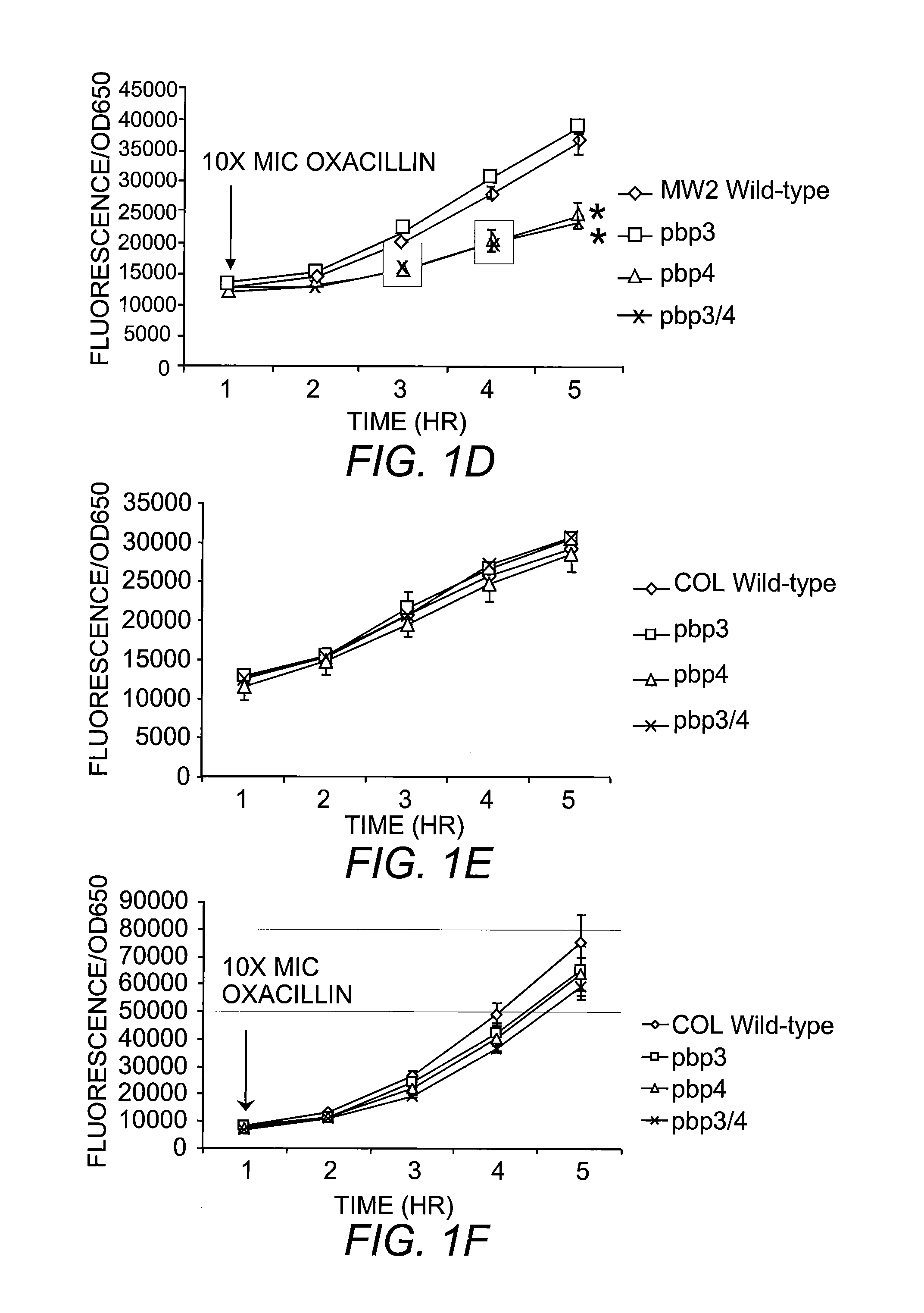 Compositions and Methods for Diagnosing and Treating Community-Acquired Methicillin-Resistant Staphylococcus Aureus