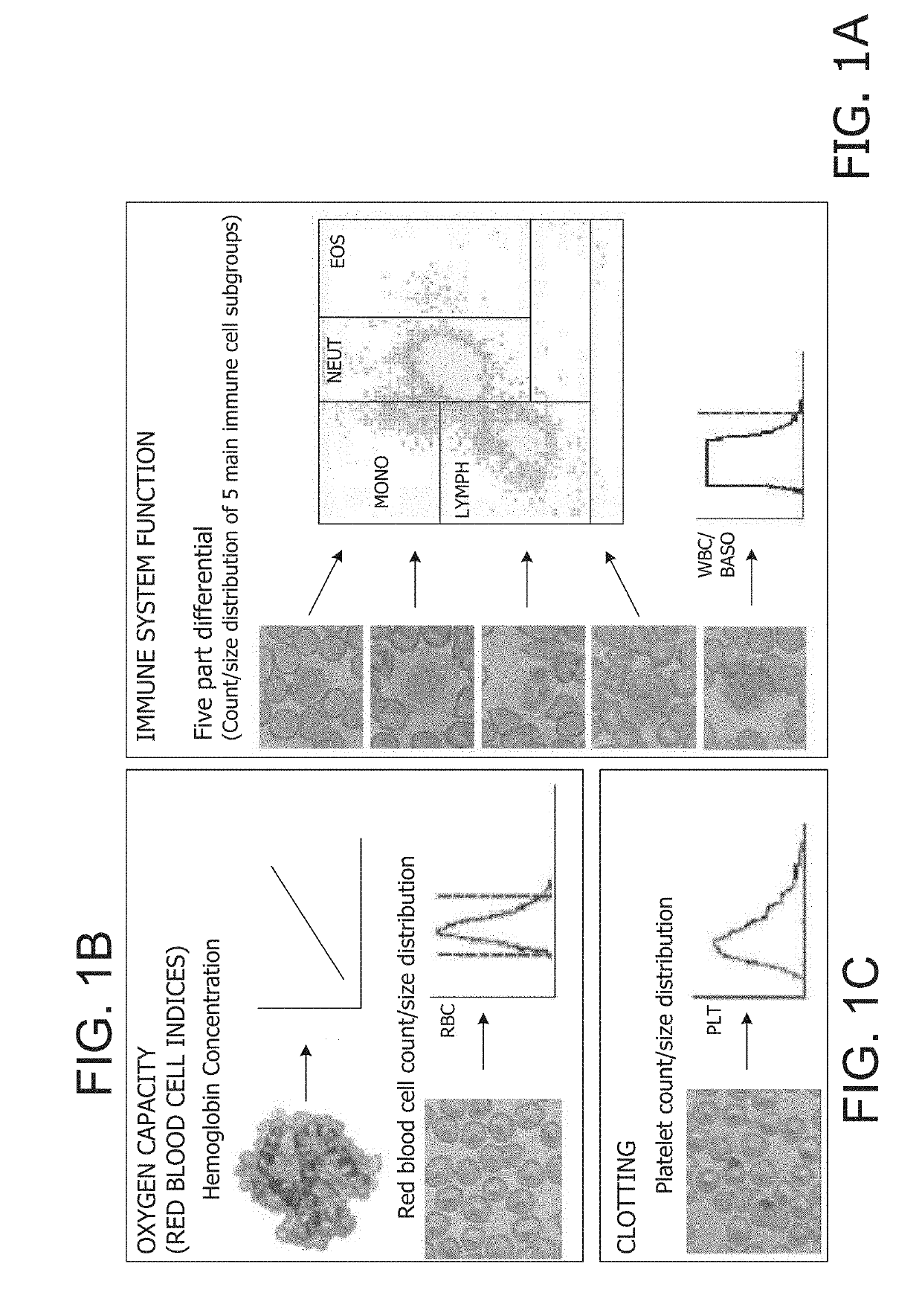 Microfluidic device for full blood count