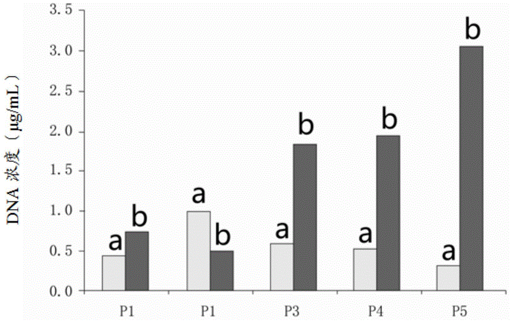 Blood stabilizer and application thereof