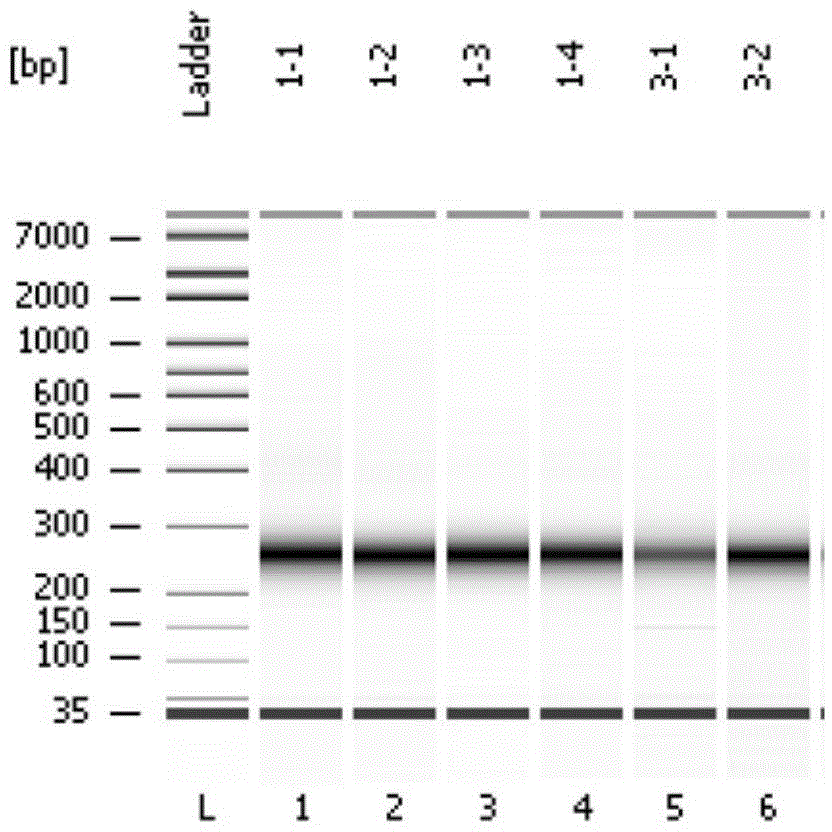 Blood stabilizer and application thereof