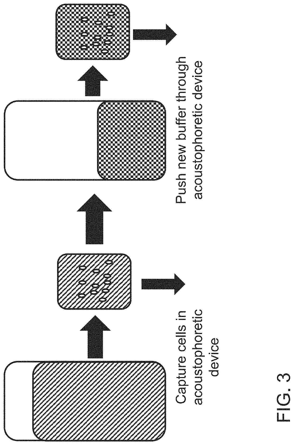 Therapeutic cell washing, concentration, and separation utilizing acoustophoresis