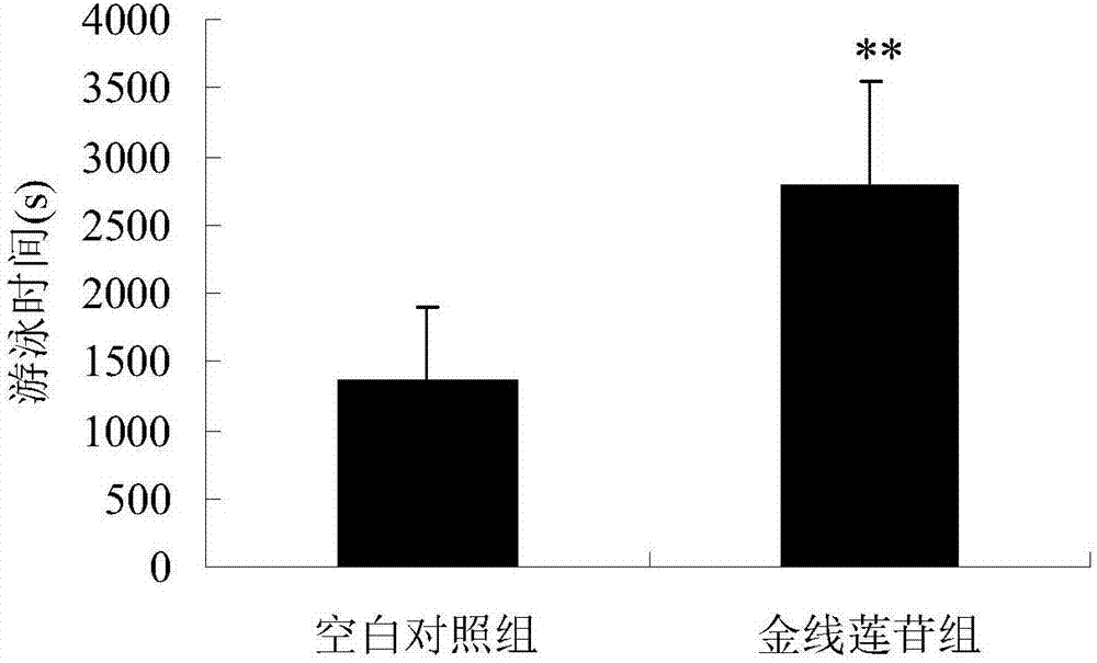 Application of kinsenoside to preparation of anti-fatigue medicine