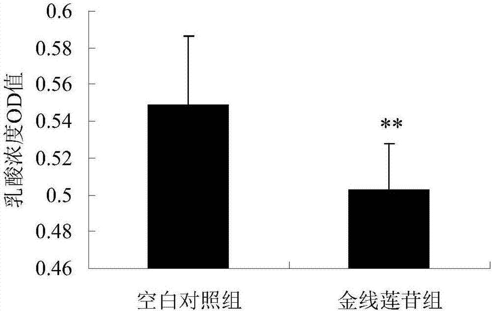 Application of kinsenoside to preparation of anti-fatigue medicine