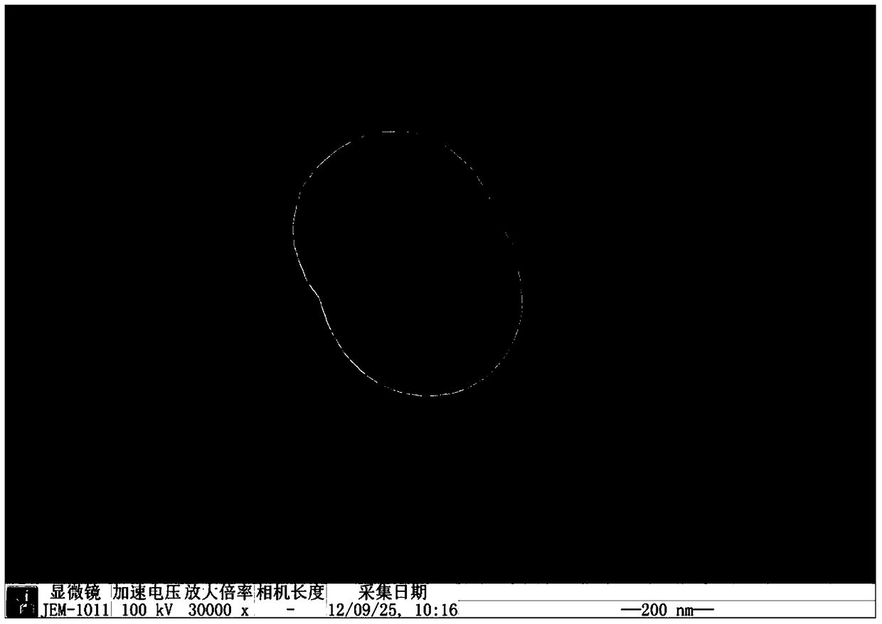 Controllable batch preparation method of organic/inorganic hybrid janus particles