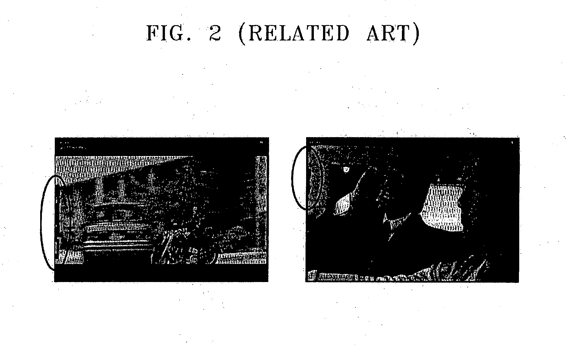 Method and apparatus for adaptively converting frame rate based on motion vector, and display device with adaptive frame rate conversion function