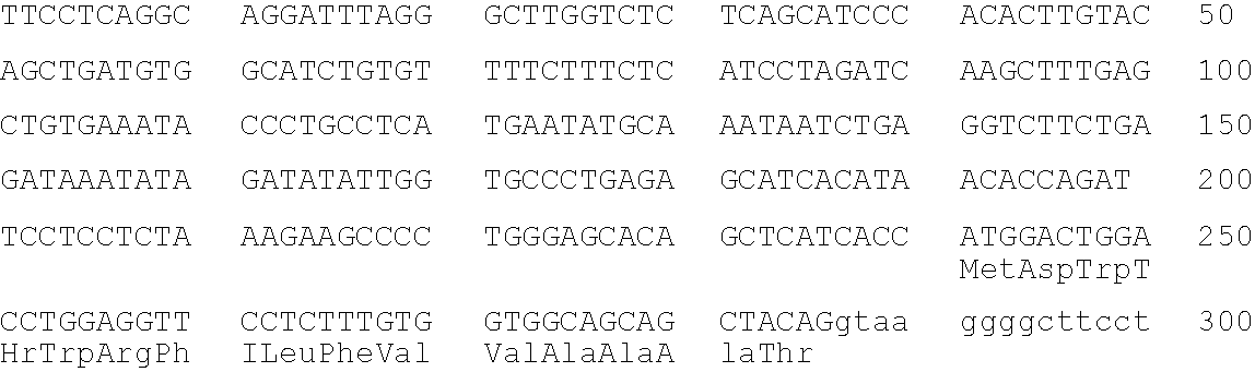 Transgenic non-human animals capable of producing heterologous antibodies