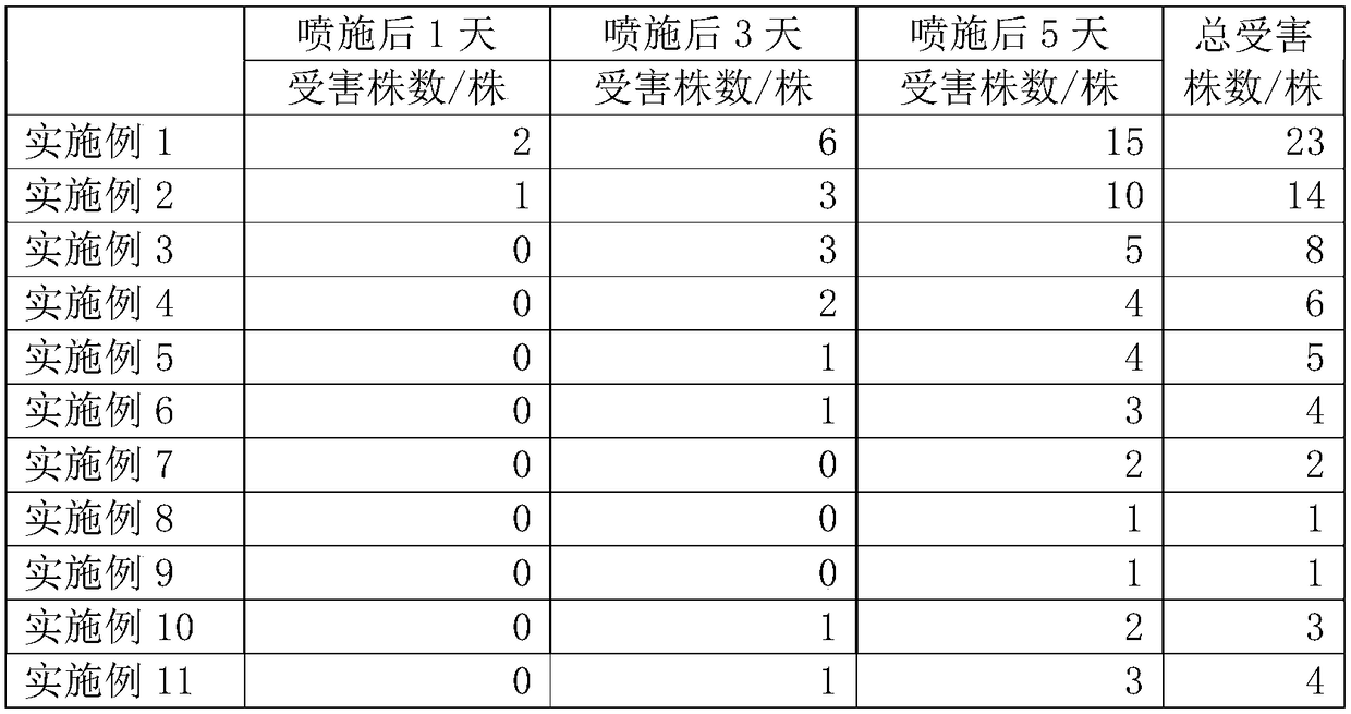 Method for preventing damage by snails in organic cultivation of Dendrobium officinale Kimura et Migo by using tea cake powder extract