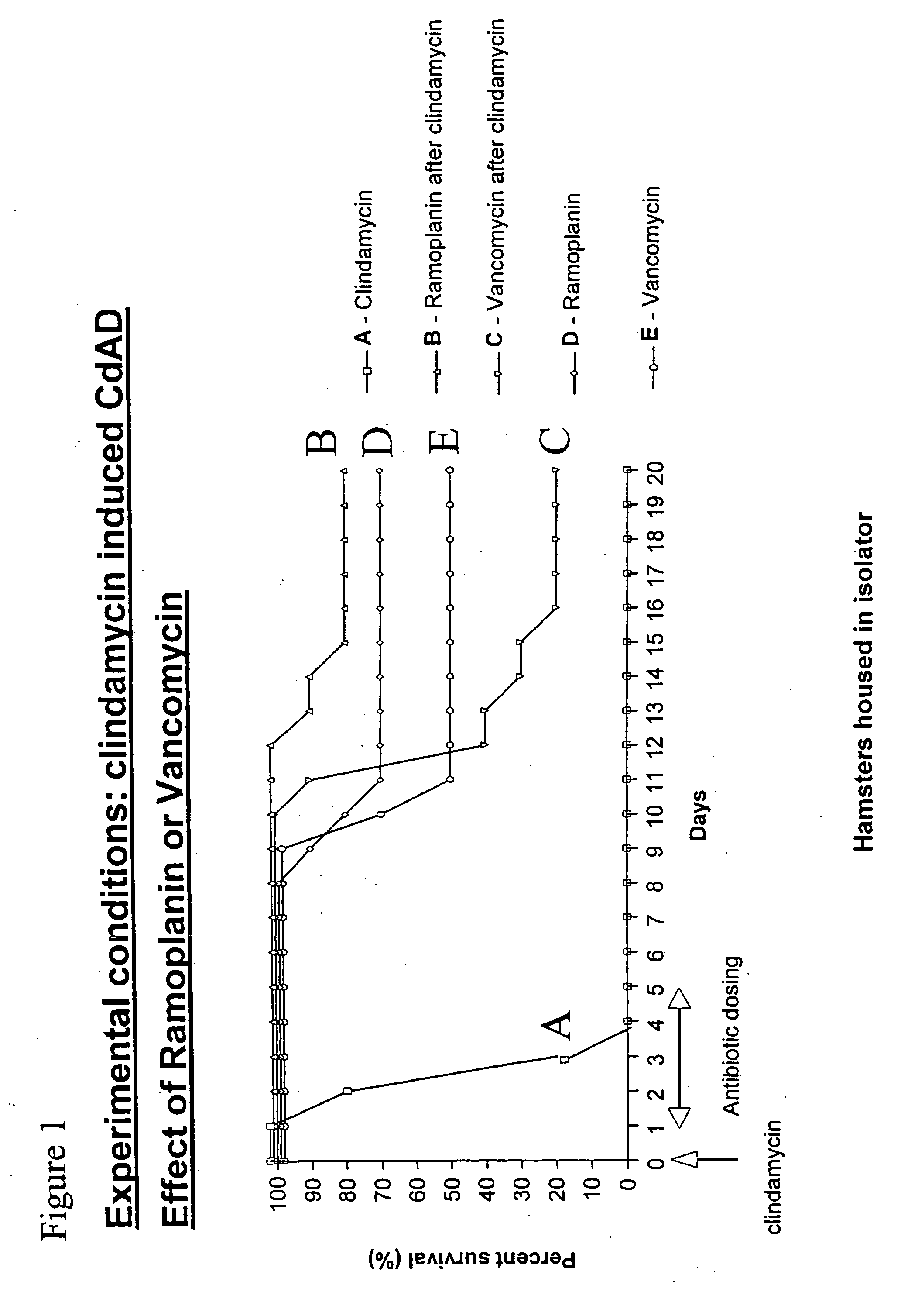 Use of ramoplanin to treat diseases associated with the use of antibiotics