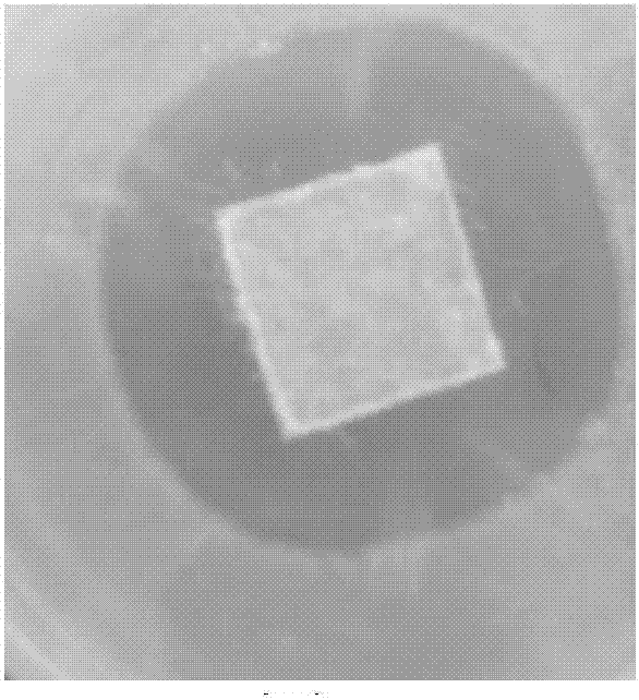 Novel silver-containing antibacterial product, and preparation method thereof