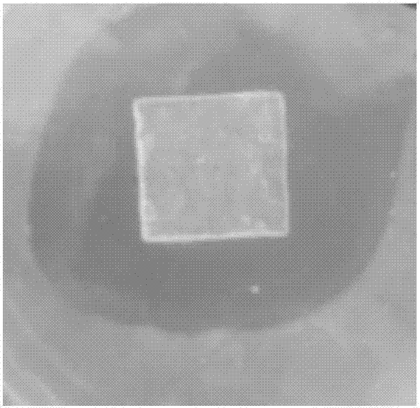 Novel silver-containing antibacterial product, and preparation method thereof