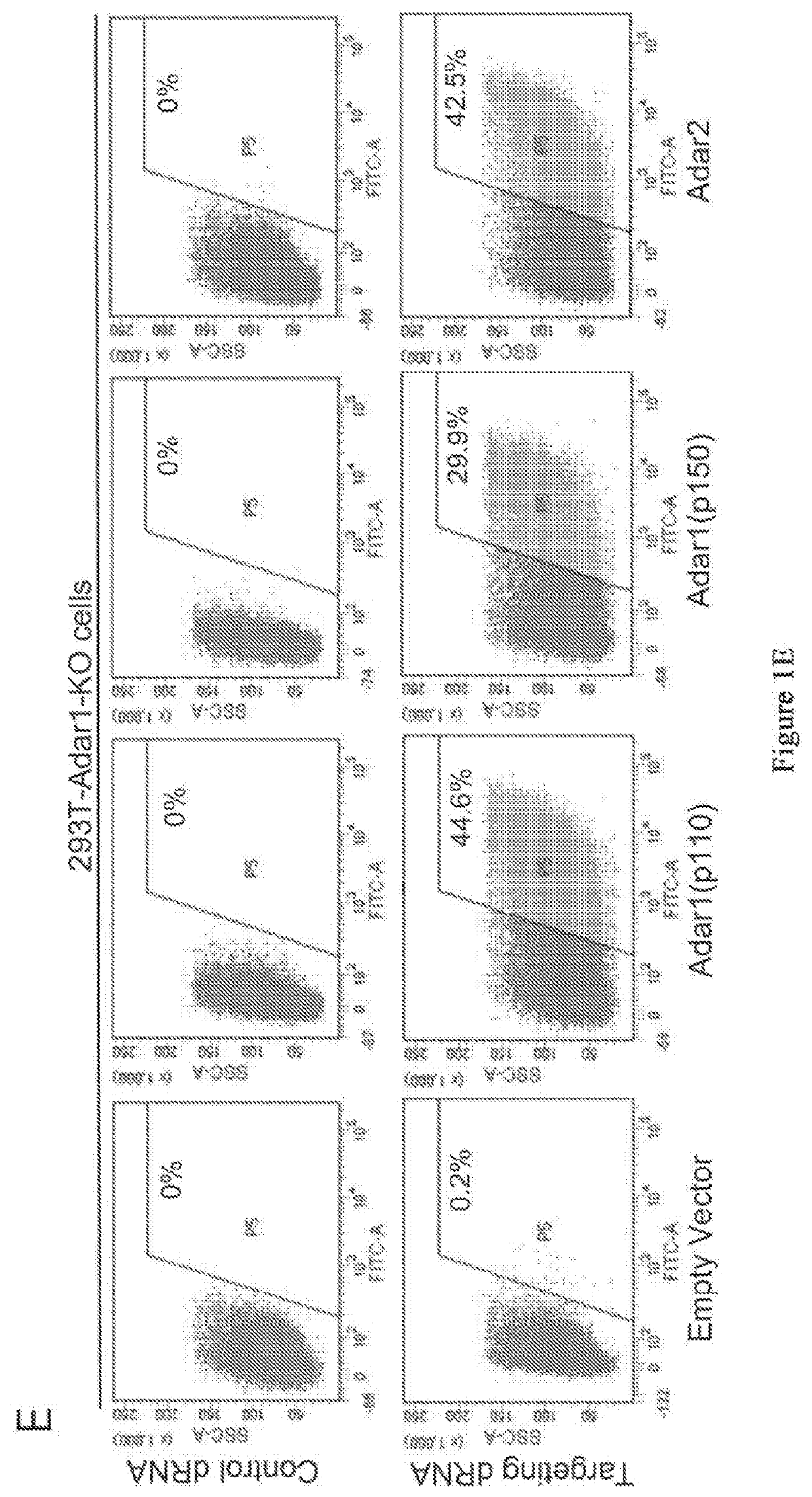 Methods and compositions for editing rnas