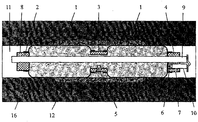 Bag type paste injection hole sealing device and its hole sealing method