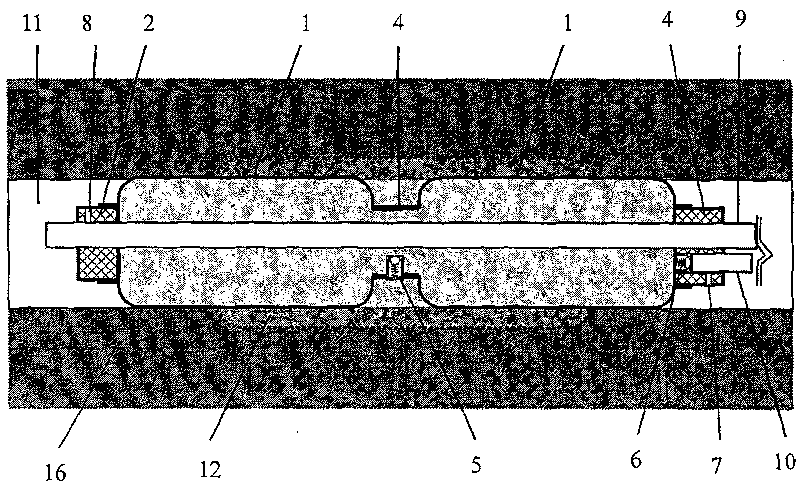 Bag type paste injection hole sealing device and its hole sealing method