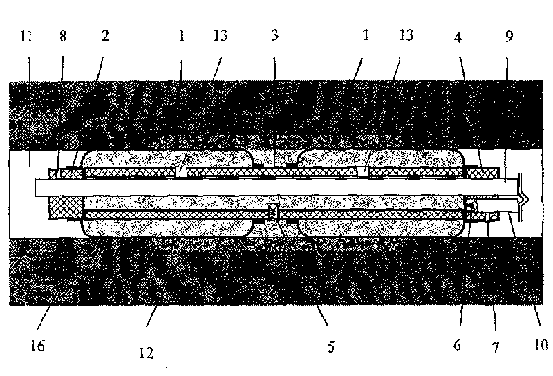 Bag type paste injection hole sealing device and its hole sealing method