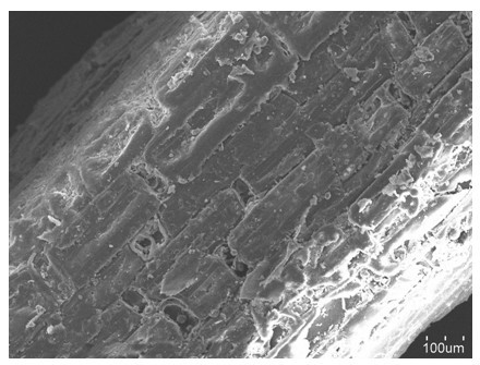 Pretreatment method for biomass fiber material