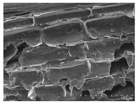 Pretreatment method for biomass fiber material