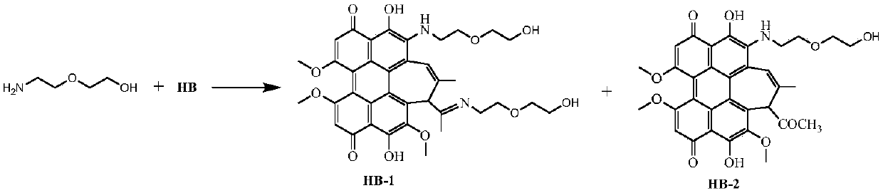 Lipophilic and hydrophilic hypocrellin derivative, preparation method and applications thereof