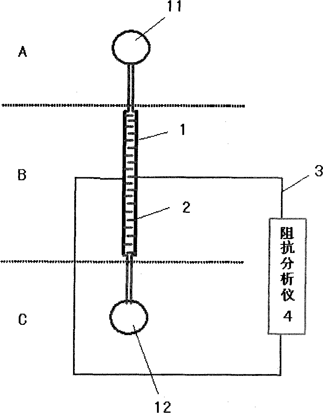 Method for detecting bacteria by using electrochemical impedance principle and microfluidic chip