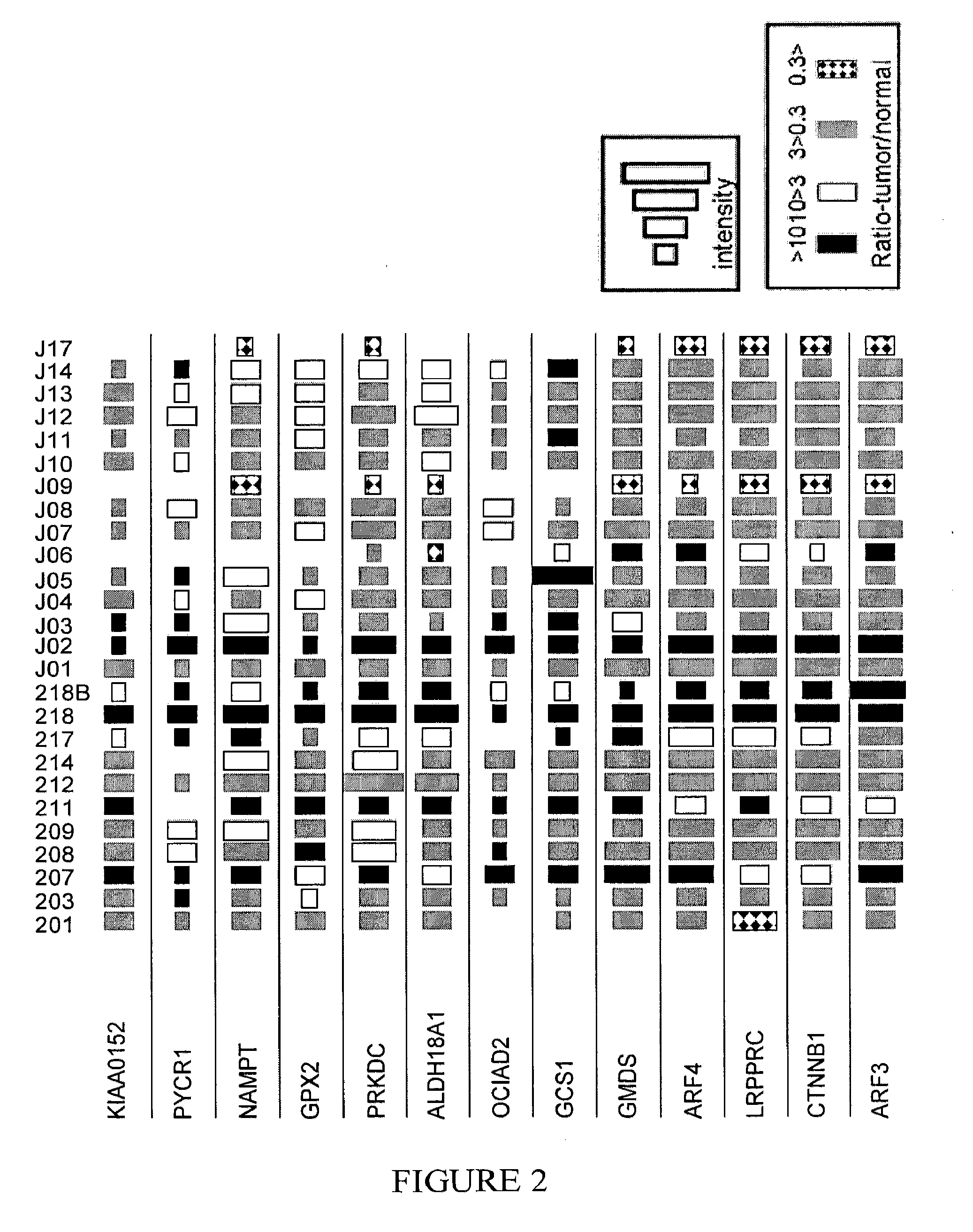 Markers for cancer detection