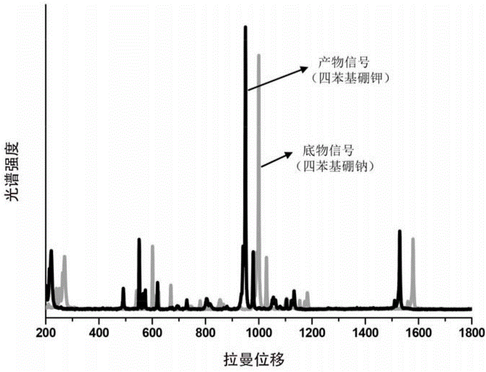 Method for detecting potassium ions by using SERS technology