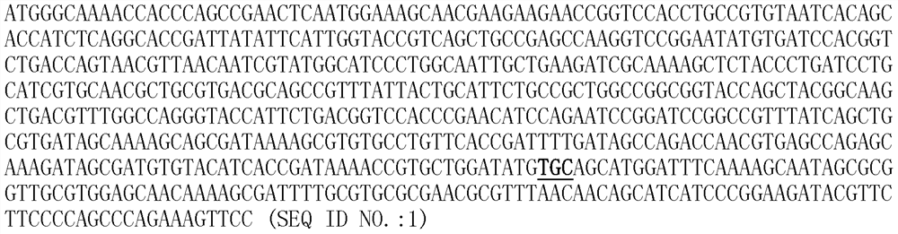 A kind of soluble heterogeneous dimerization T cell receptor and its preparation method and application